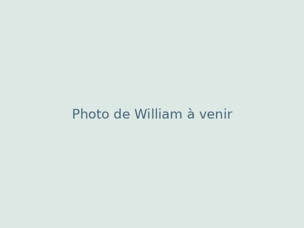 William, Ventes et stratégie
